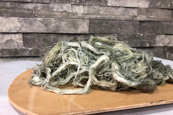 Göğermiş (Küflü) Civil Peyniri Erzurum