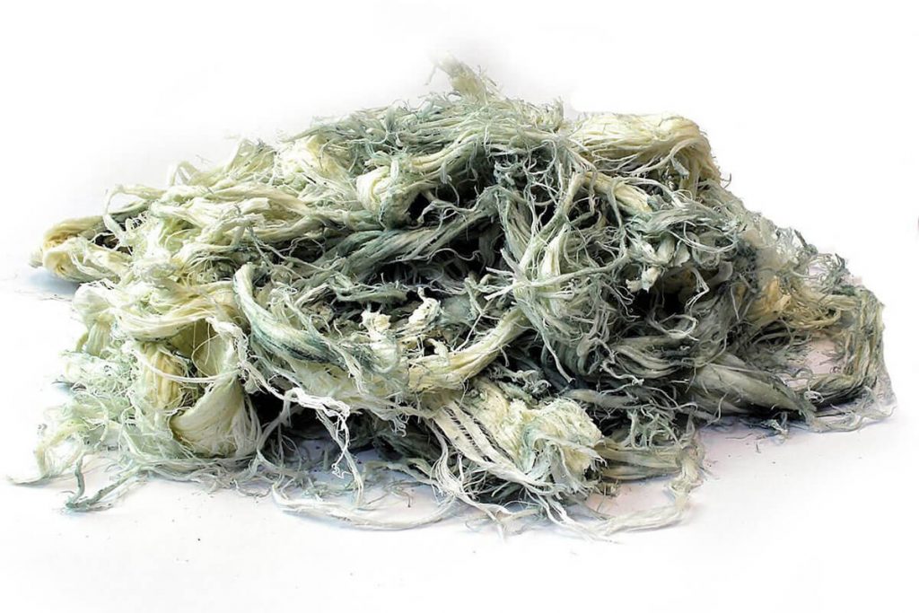 Erzurum Küflü Peynir (Göğermiş Peynir) Faydaları